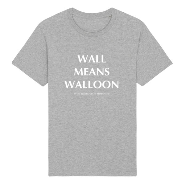 WALL MEANS WALLOON Thumbnail